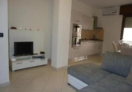 Rosa Virginia 15 - 143