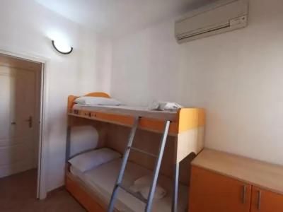 Rosa Virginia 15 - 51