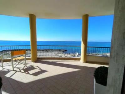 Rosa Virginia 15 - 80