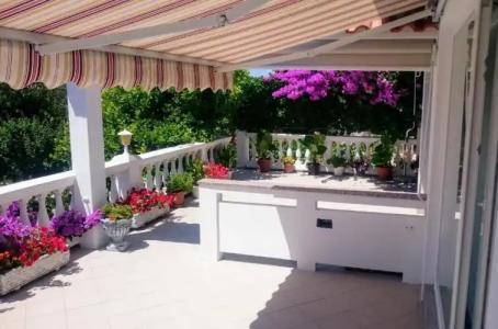Guest House Mireja - 19