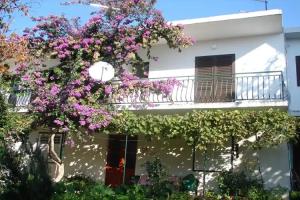 Hotel, Makarska