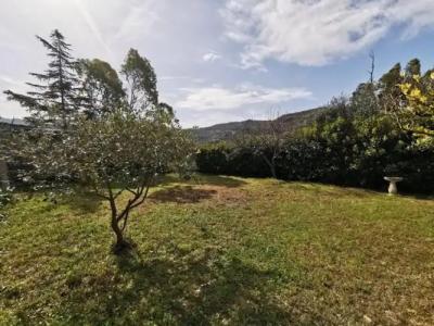 Bed & Breakfast Villa Flora - 22