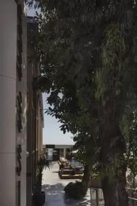 En Vie Beach Boutique - 14