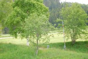 Grafenhausen Guest house, Grafenhausen