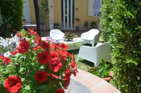 Ansise Apartments - 9