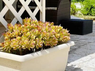 La Maison One B&B - 25