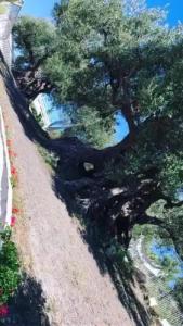 Il Paradiso di Hyele - 74