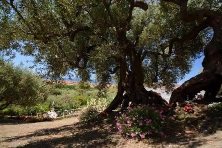 Il Paradiso di Hyele - 57