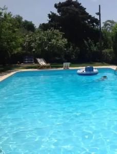 Il Leone di Mare - 11