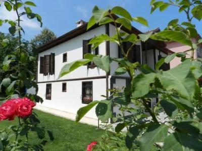 Aslibey Konagi - Adults Only - 11