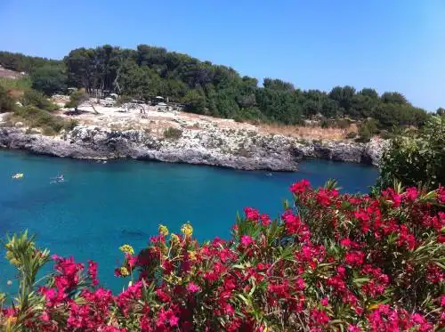 La Dimora Dell'Inglese - 39