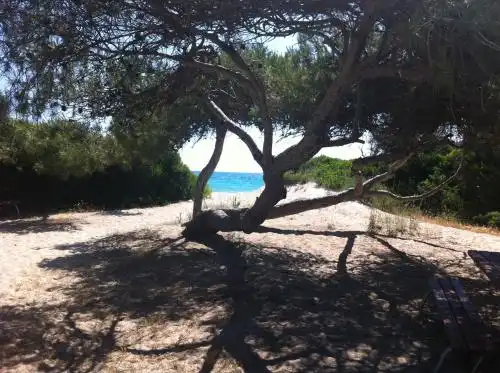 La Dimora Dell'Inglese - 38