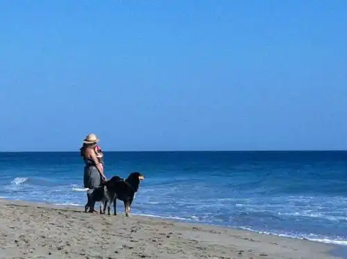 La Dimora Dell'Inglese - 35