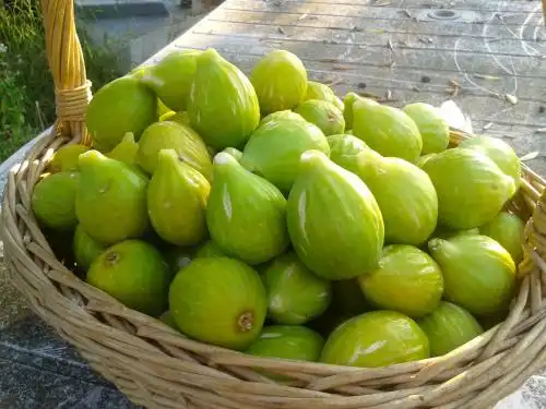 La Dimora Dell'Inglese - 49