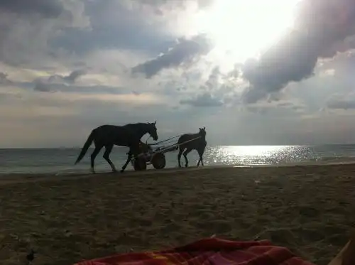 La Dimora Dell'Inglese - 36