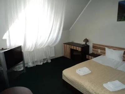 Hotel-Restaurant Vizit - 2