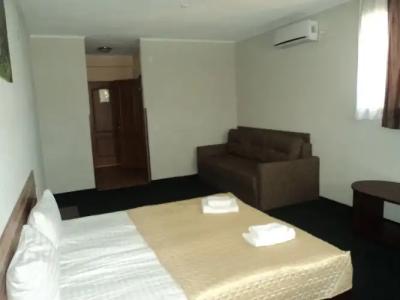 Hotel-Restaurant Vizit - 6