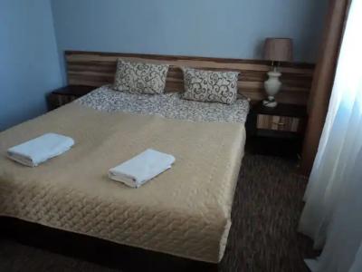 Hotel-Restaurant Vizit - 4