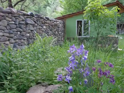 Eco Garden - 55