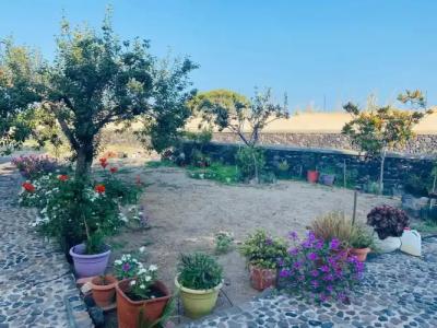 Dagris Villa Studios - 9