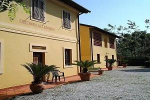 Camping dei Tigli, Torre del Lago Puccini