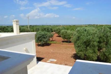 Le Terrazze Miramare B&B - 19