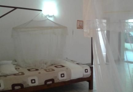 Villa Red Lobster - 1