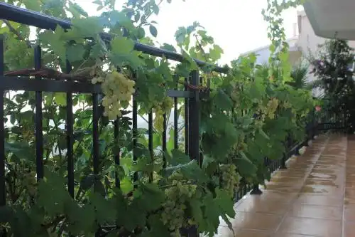 Studio Apartman Ilija - 13