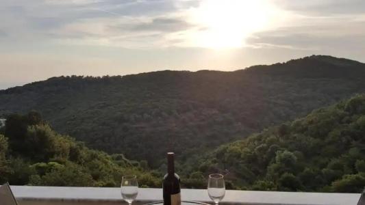 Belvedere Apartments - 84