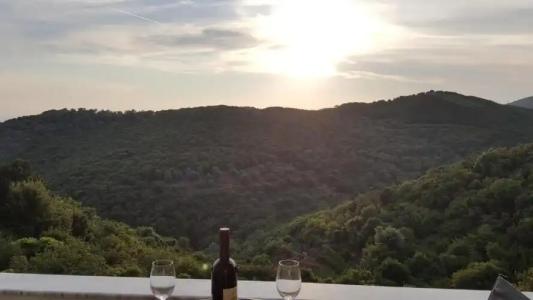 Belvedere Apartments - 63