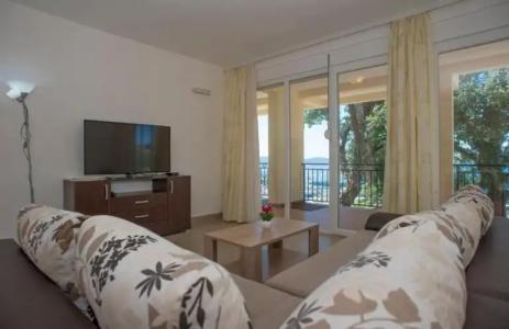 Apartments Arsenijevic - 78