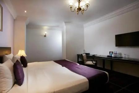 The Steuart by Citrus - 44