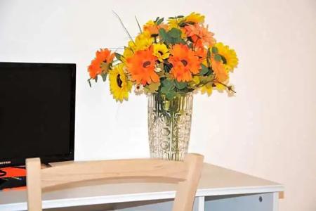 Salenterra B&B (Salento) - 28