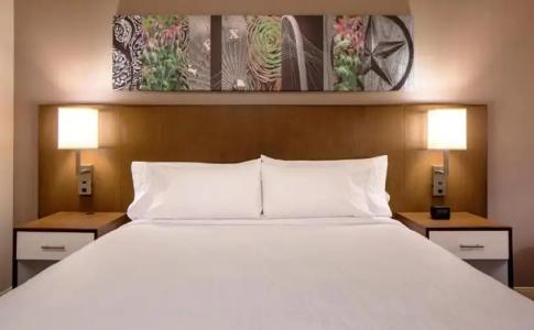 Hilton Garden Inn Downtown Dallas - 52