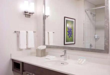 Hilton Garden Inn Downtown Dallas - 9