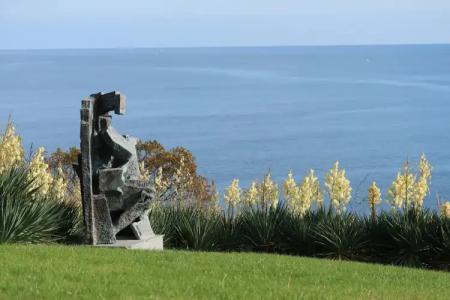 Art complex Anel - 15