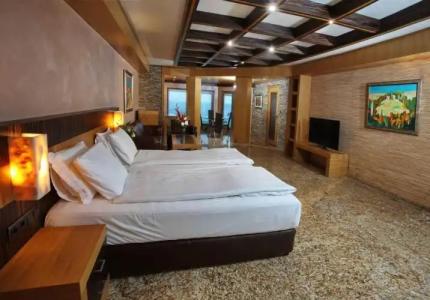 Art complex Anel - 55