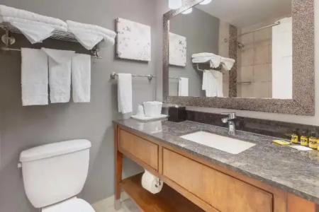 Best Western Plus Milwaukee West - 42