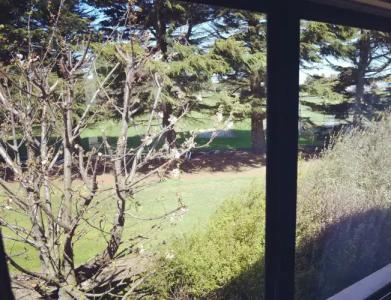 Bush Inn Court Motel - 11