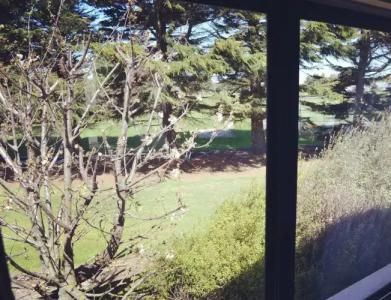 Bush Inn Court Motel - 55