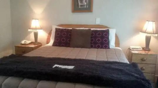 Bush Inn Court Motel - 34