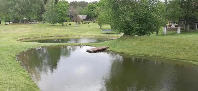 House in nature - 8