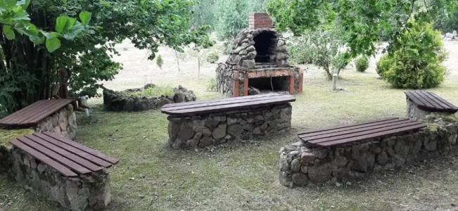 House in nature - 33