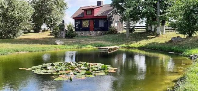 House in nature - 26