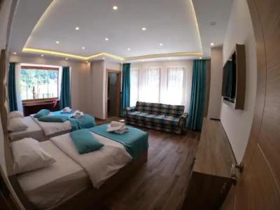 Danış Otel Uzungöl - 33