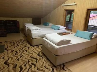 Danış Otel Uzungöl - 69