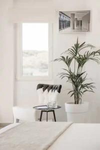 Racconto Boutique Design - 59