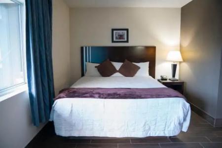 Orange Tree Inn - 20