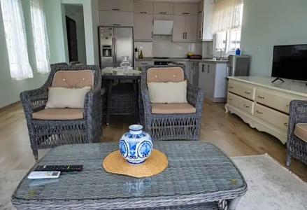 Amore Teki̇Rova - 63