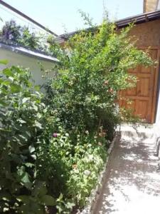 Lovely home for you Guest Home - 60